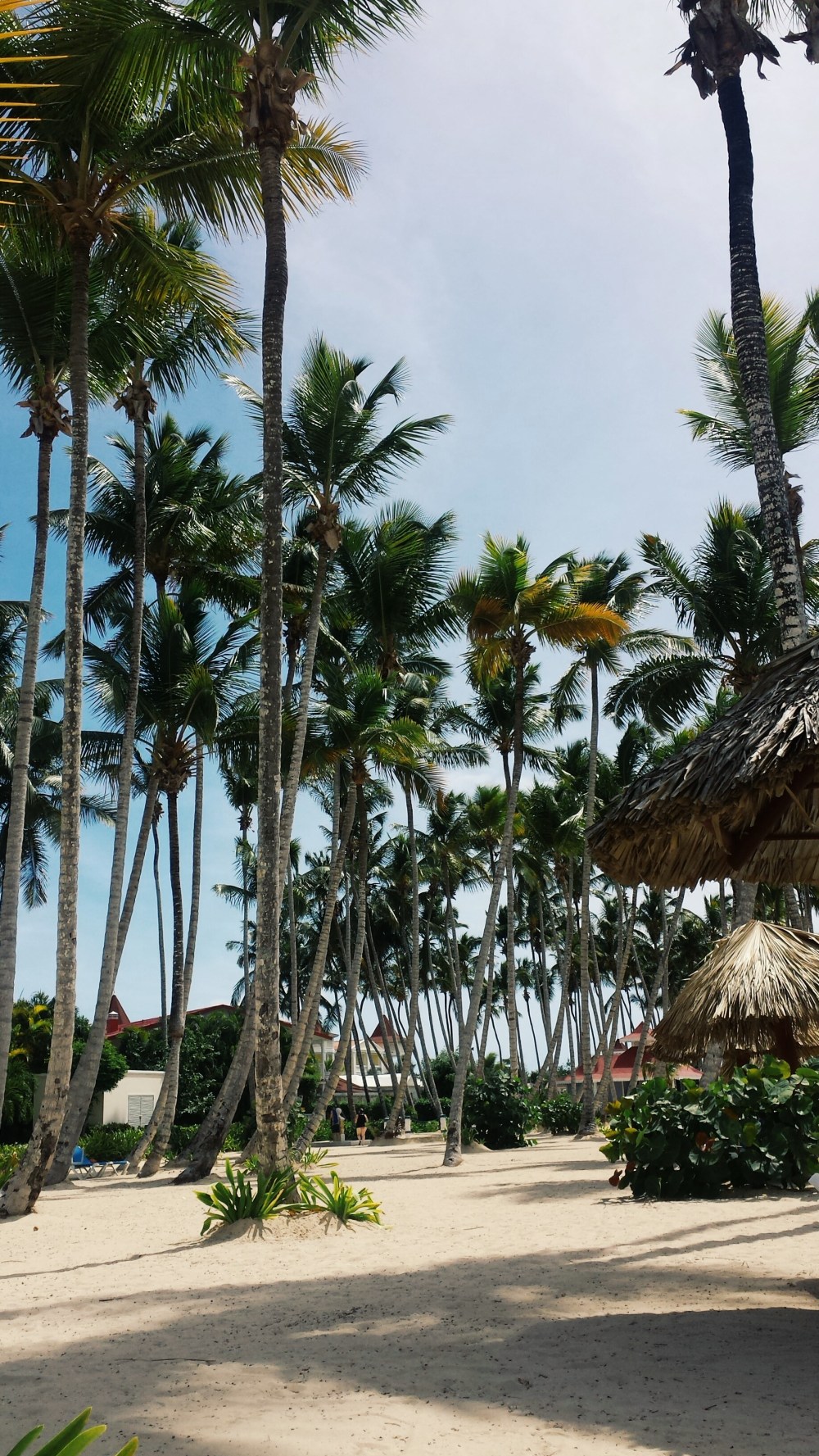 Processed with VSCO with g3 preset