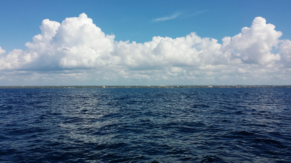 Processed with VSCO with g3 preset