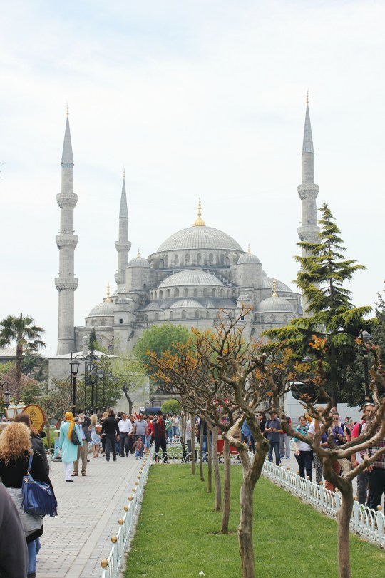 Processed with VSCO with lv01 preset