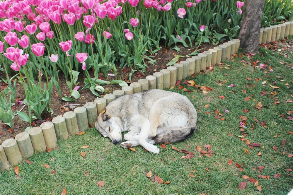 Processed with VSCO with lv01 preset