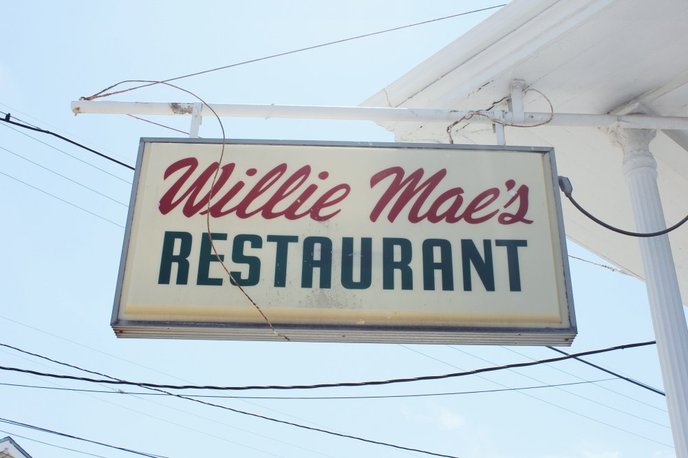 Processed with VSCO with lv01 preset