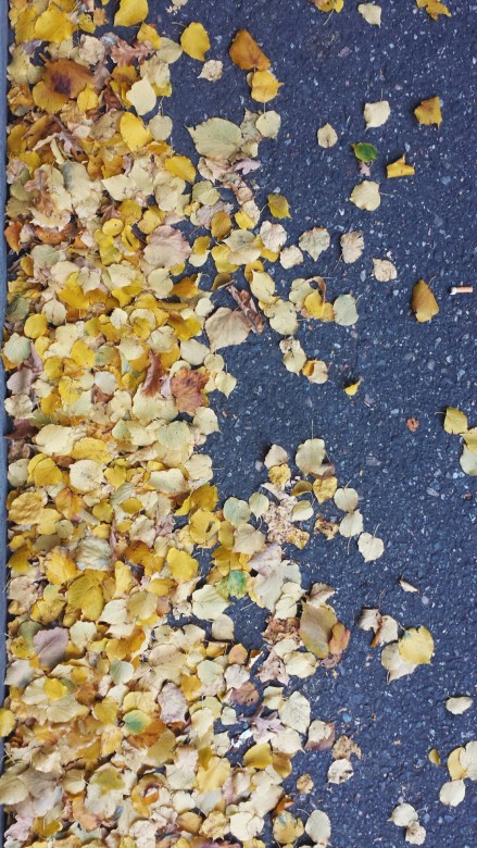 Processed with VSCO with lv01 preset