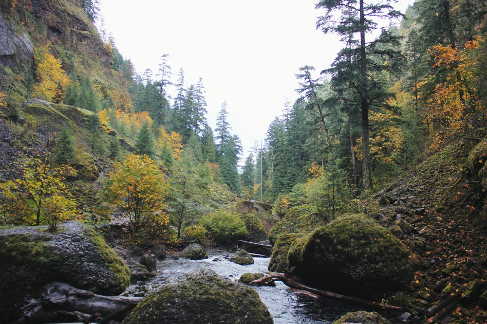 Processed with VSCO with lv01 preset