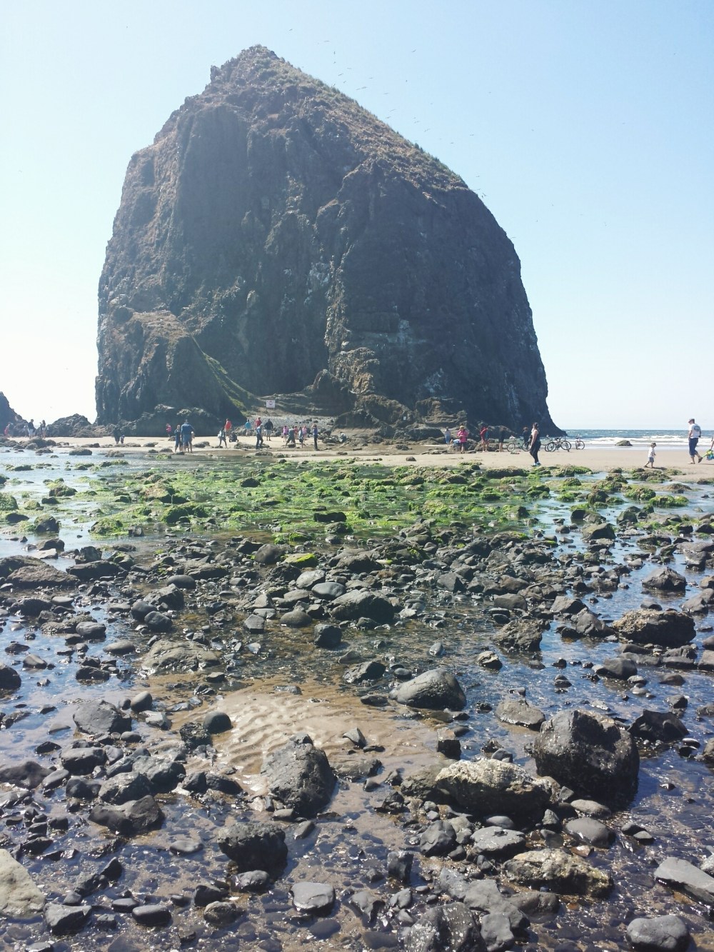 Processed with VSCO with lv01 preset