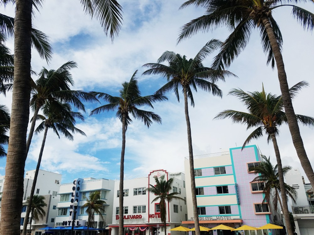 Processed with VSCO with lv01 preset