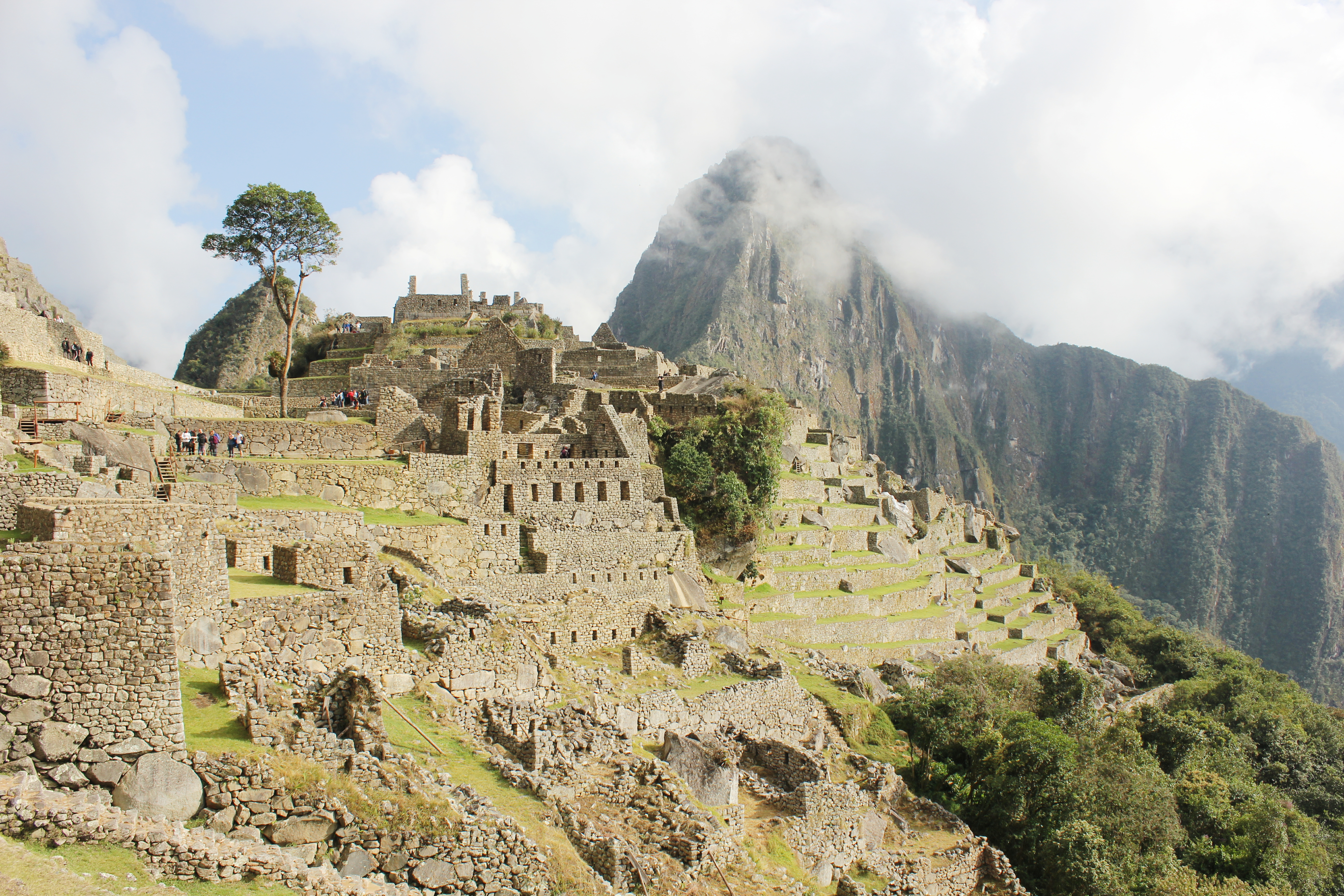 Macchu Picchu in the morning