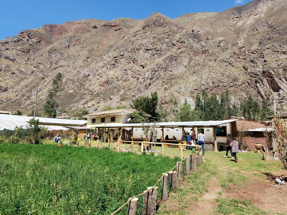 Urubamba cuy farm