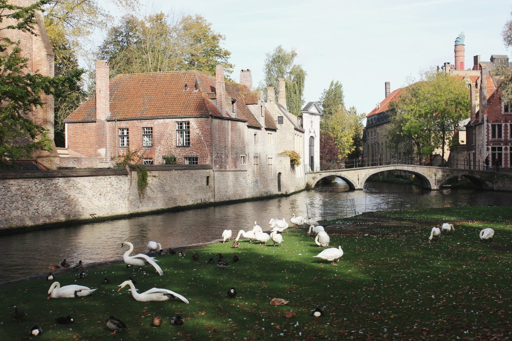 The view from Begijnhof