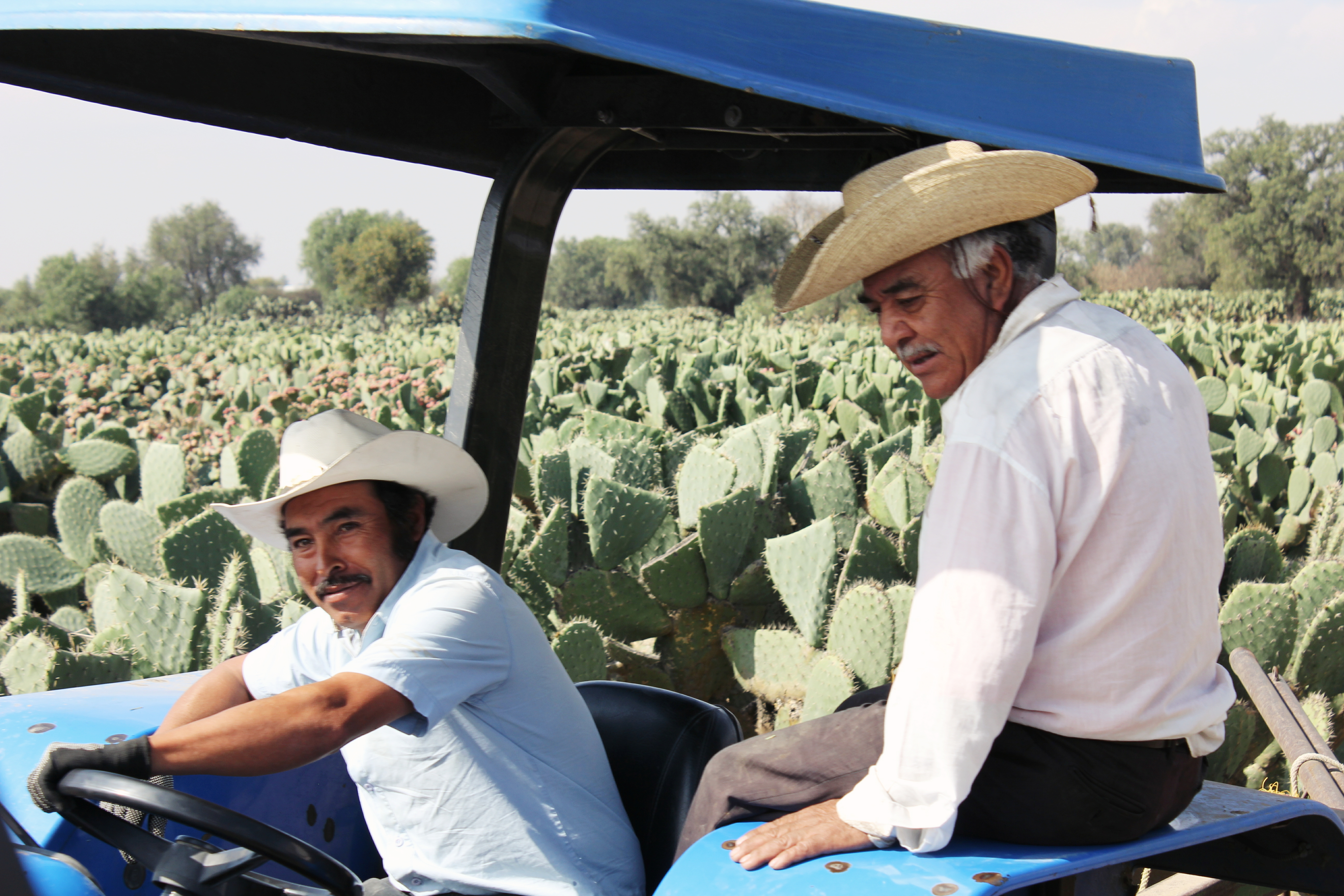 Processed with VSCO with nc preset